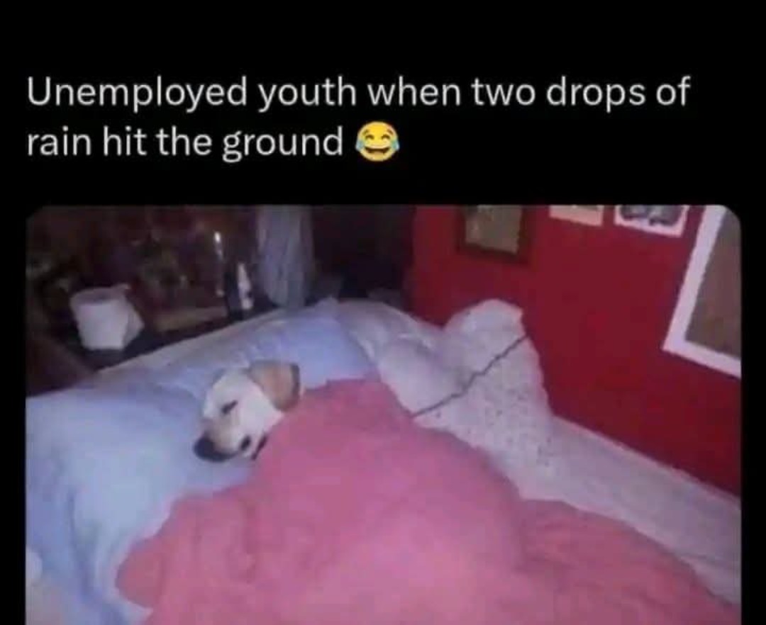 Unemployed youth when two drops of rain hit the ground 😂