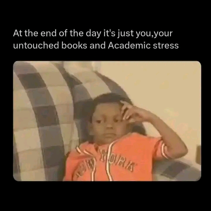 At the end of the day it's just you,your untouched books and Academic stress