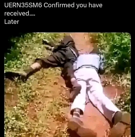 Vako meme